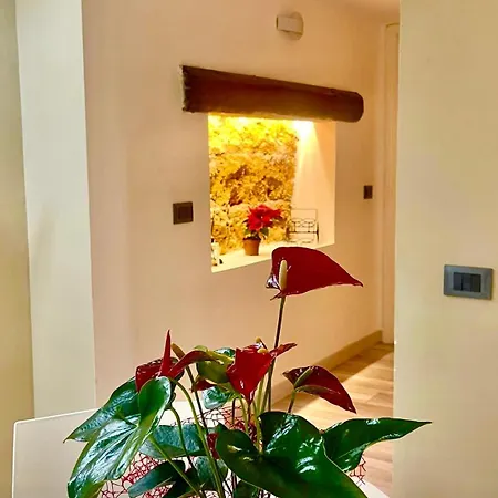 Apartamento Centro Storico Stationsuite N5 Wifi Tutto A Piedi! *