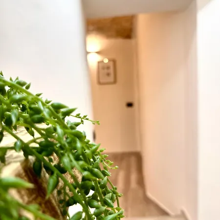 Centro Storico Stationsuite N5 Wifi Tutto A Piedi! Apartamento Palermo